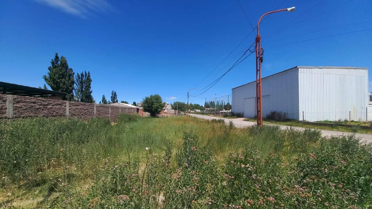 Terreno en Cinco Saltos calle Ramos Mejía - 1