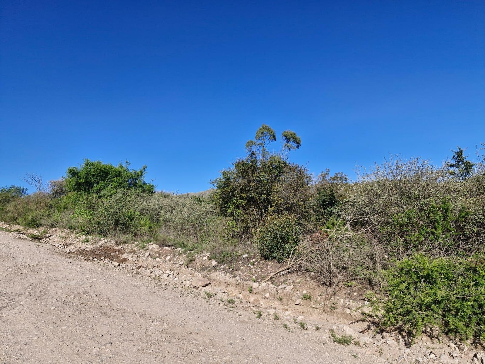 Lote 900m² Huerta Grande - Apto Cabañas - Escritura - 2 Unidades Contiguas - 1