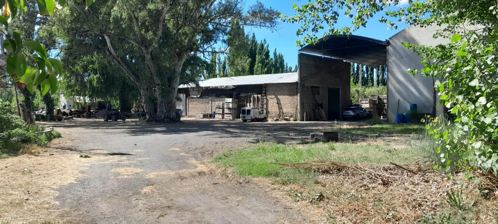 Chacra en Venta , Villa Regina - 1