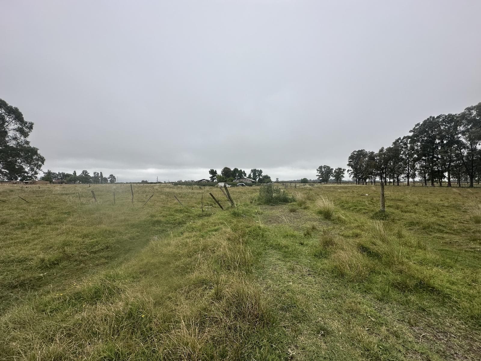 Campo de 6 Hectáreas a metros de Ruta 6, San Vicente. - 1