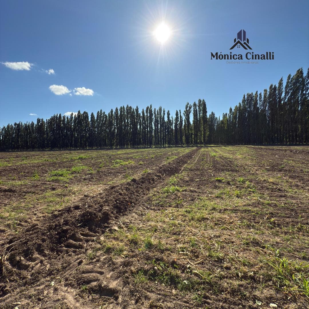 Casa en Villa Regina - 1