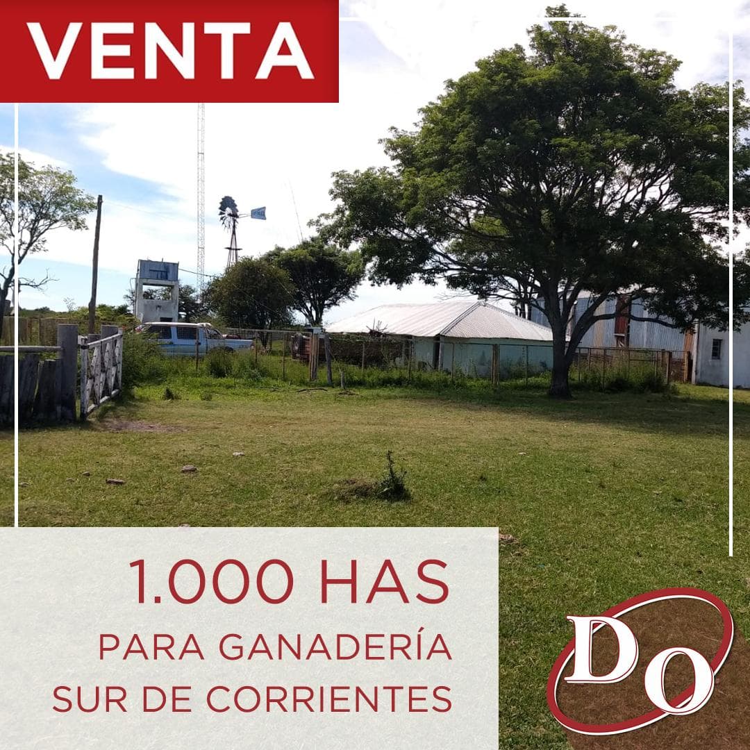 1.000 HAS para ganadería en el sur de Corrientes. - 1