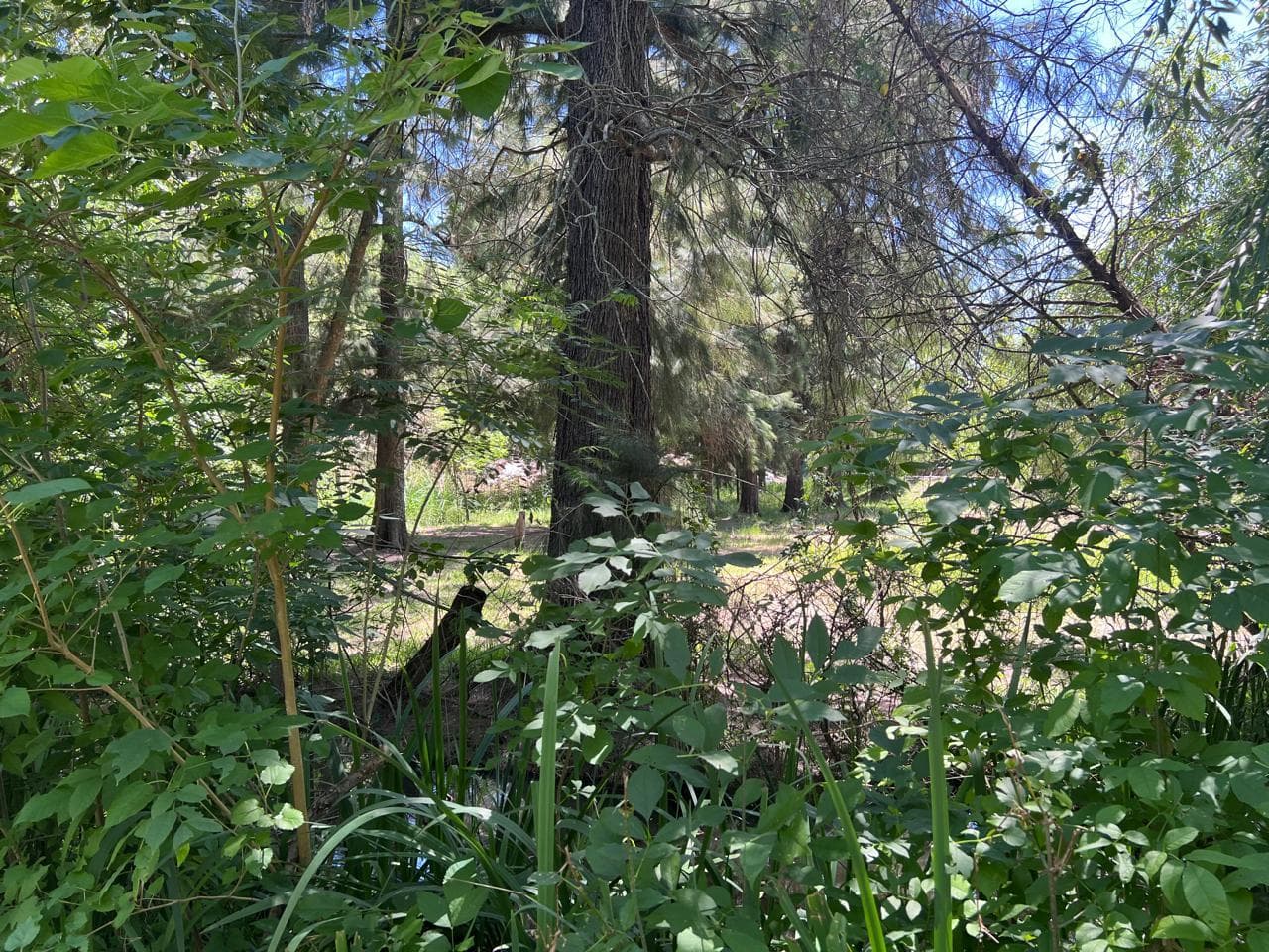 Terreno en Villa La Ñata - 2