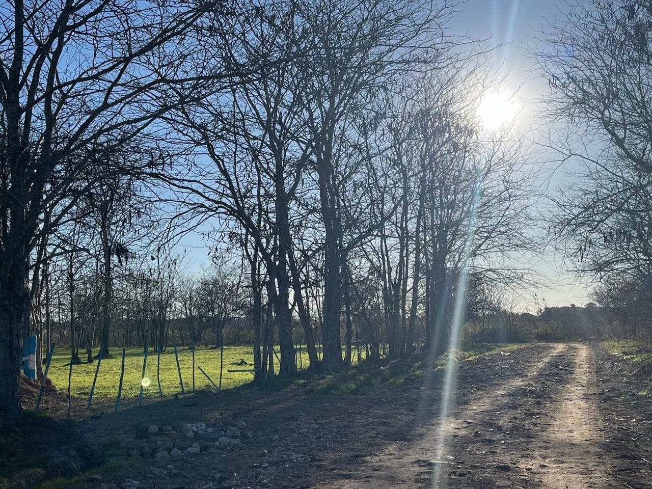 Terreno 1555 m2 - Arturo Seguí - La Plata - 1