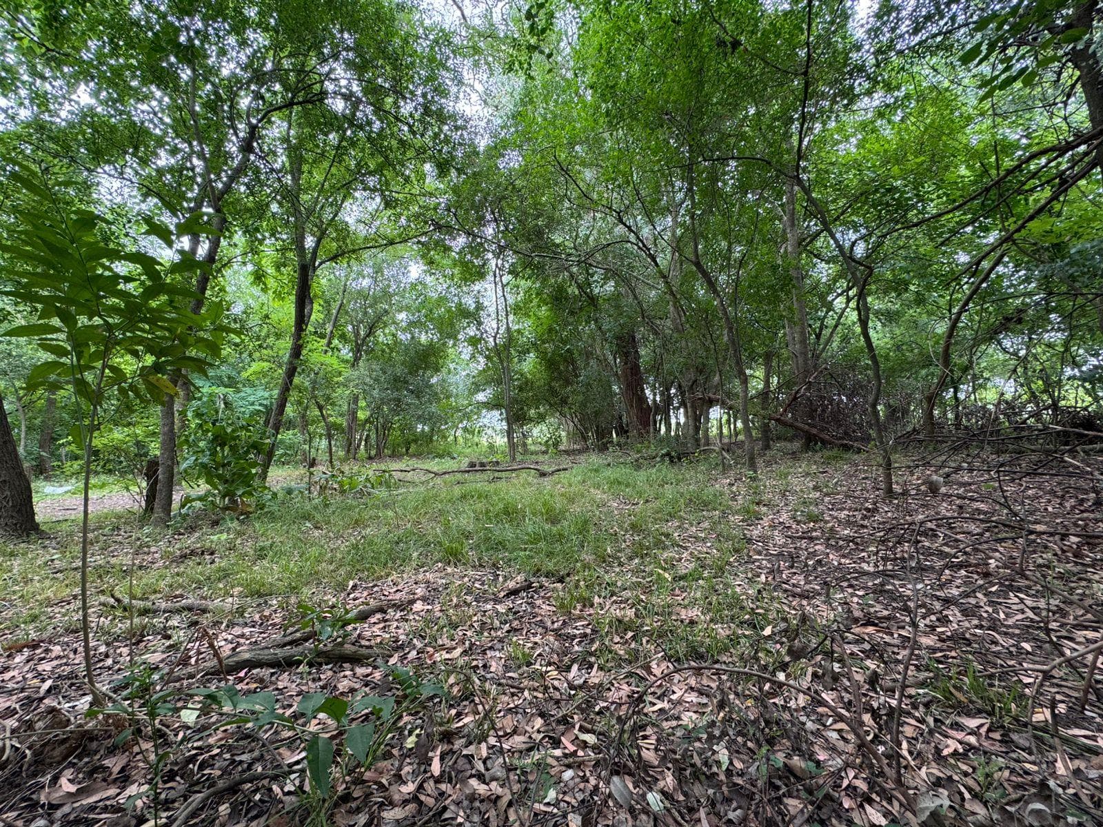 Terreno 1555 m2 - Arturo Seguí - La Plata - 1