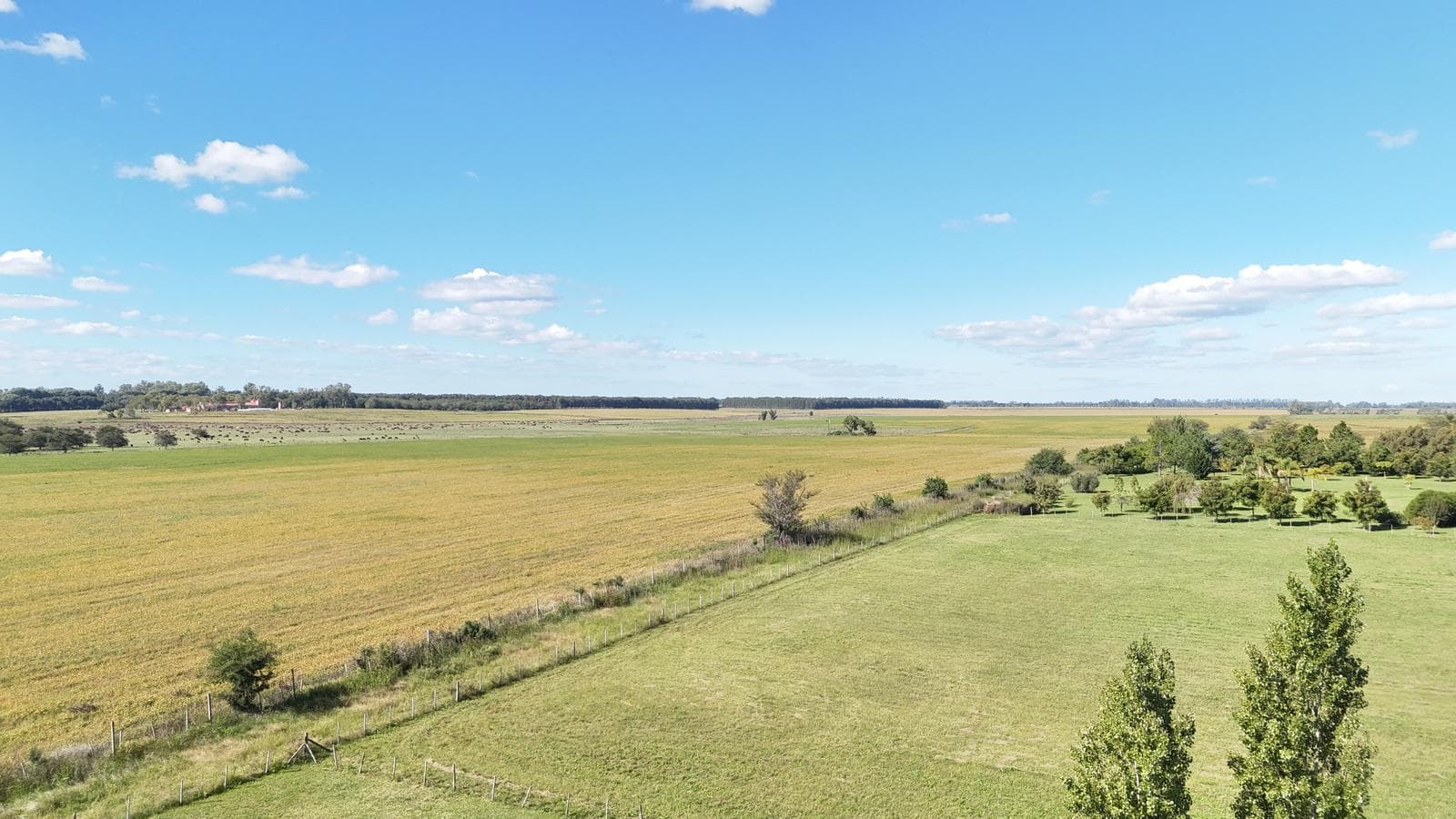 LOTES en Chacras de Olivia - Zarate - 1