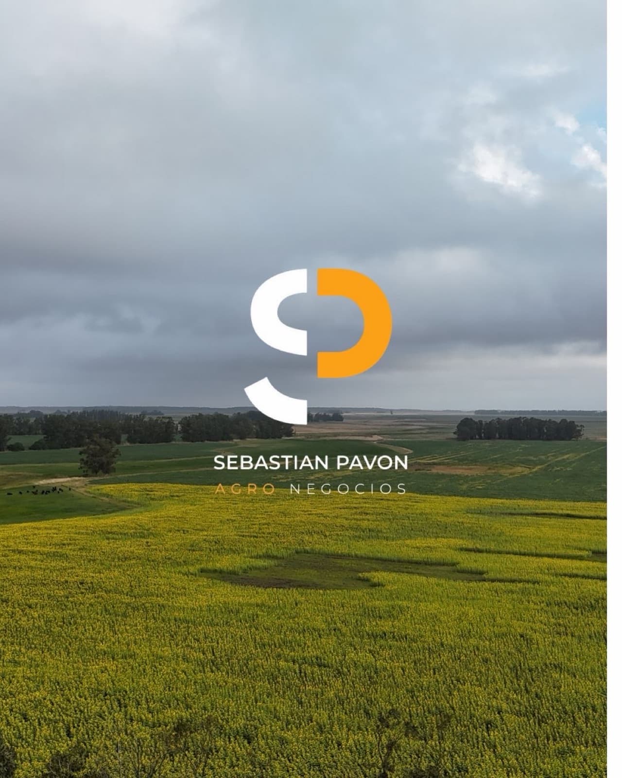 Campo Papero en Venta 82 Has Miramar - 1