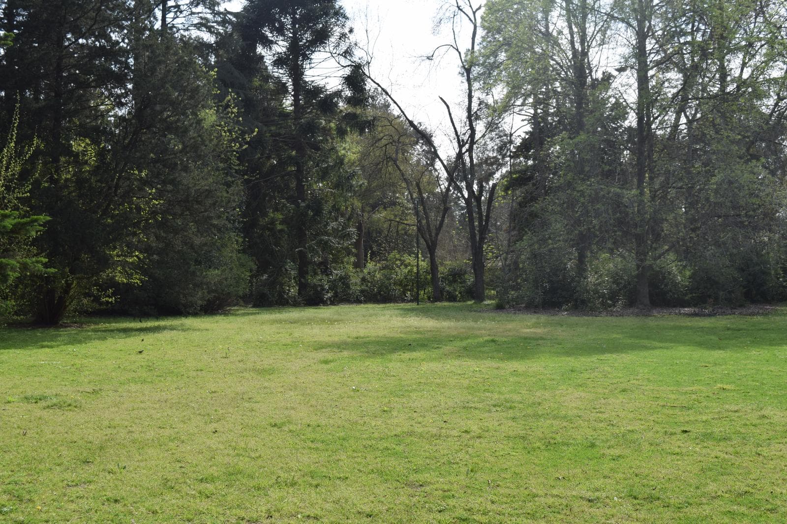 Terreno en venta en El Remanso - 1