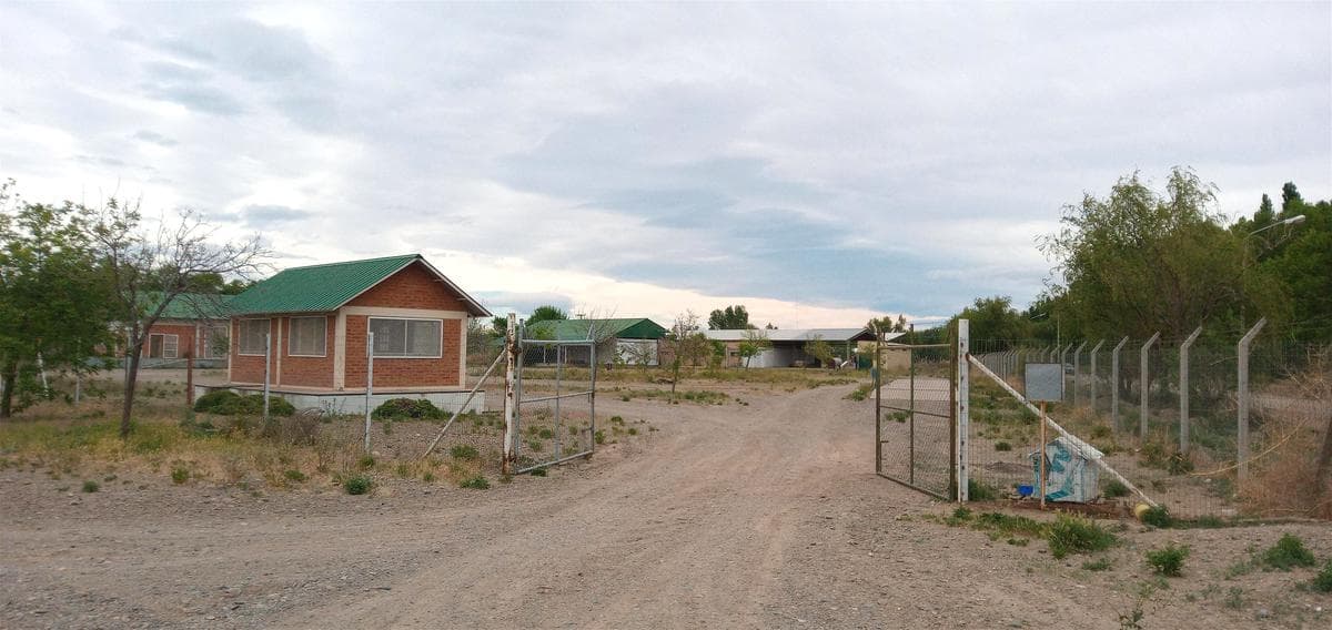 Alquiler- Planta faenadora Frigorífico 450 m2- Plottier- Neuquén - 1