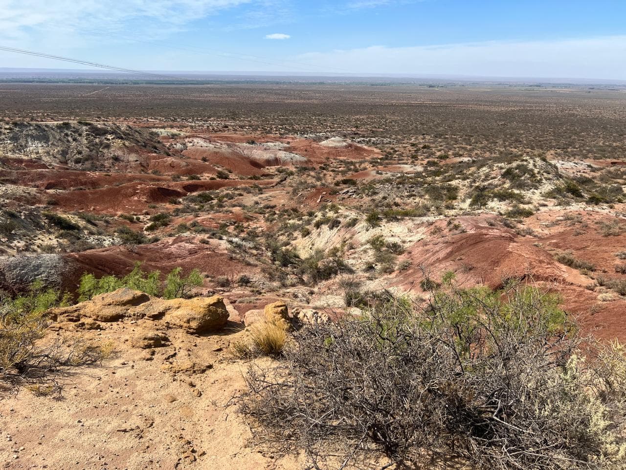 Terreno en Senillosa - 1