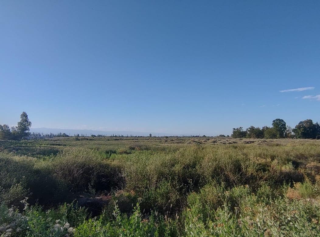 Venta en terreno en San Martin - 1