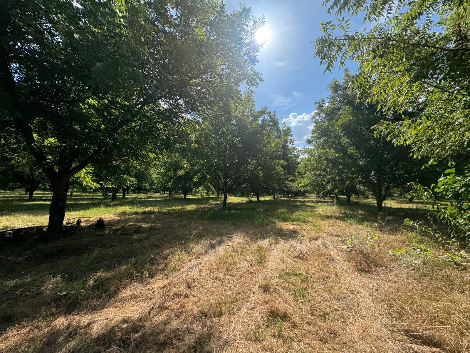 Chacra en Gualeguay - 1