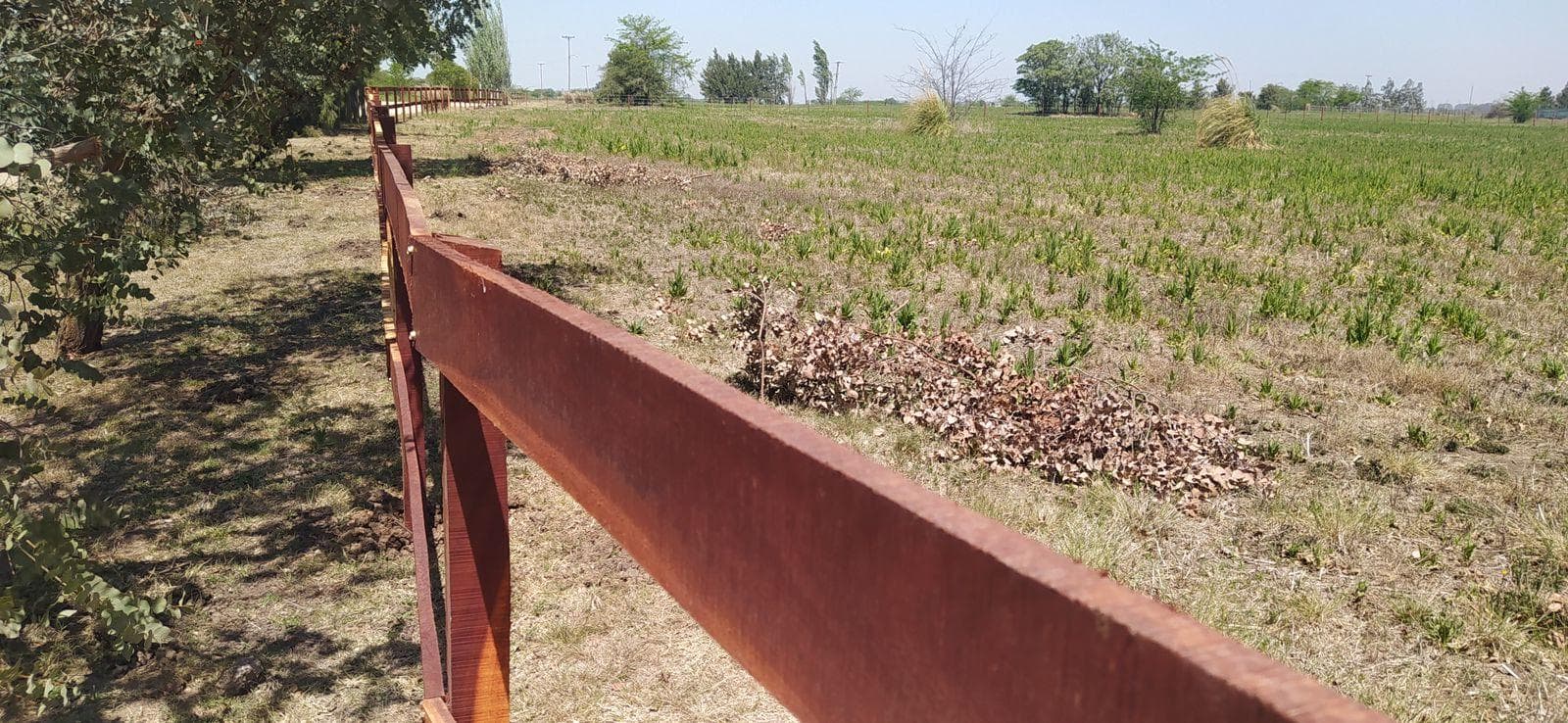 Terreno en venta en chacras de olivia - 1