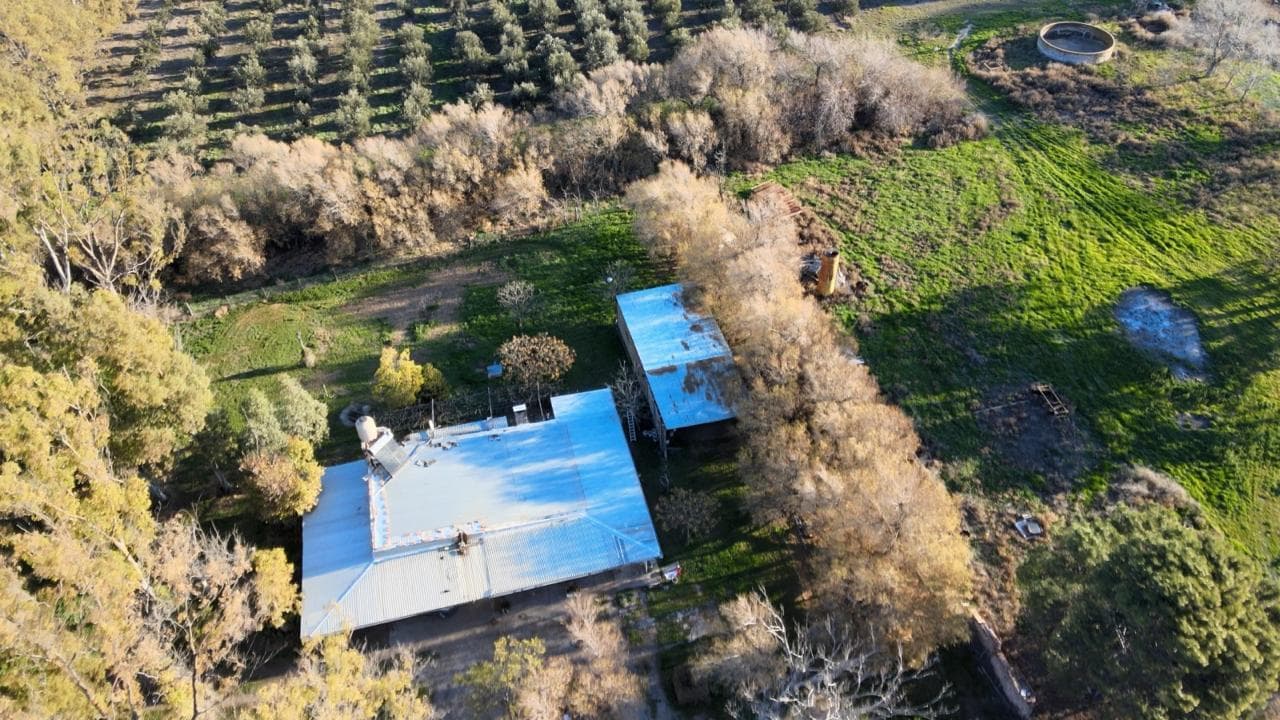 Chacra de Olivares en venta a 5km de Viedma - 2