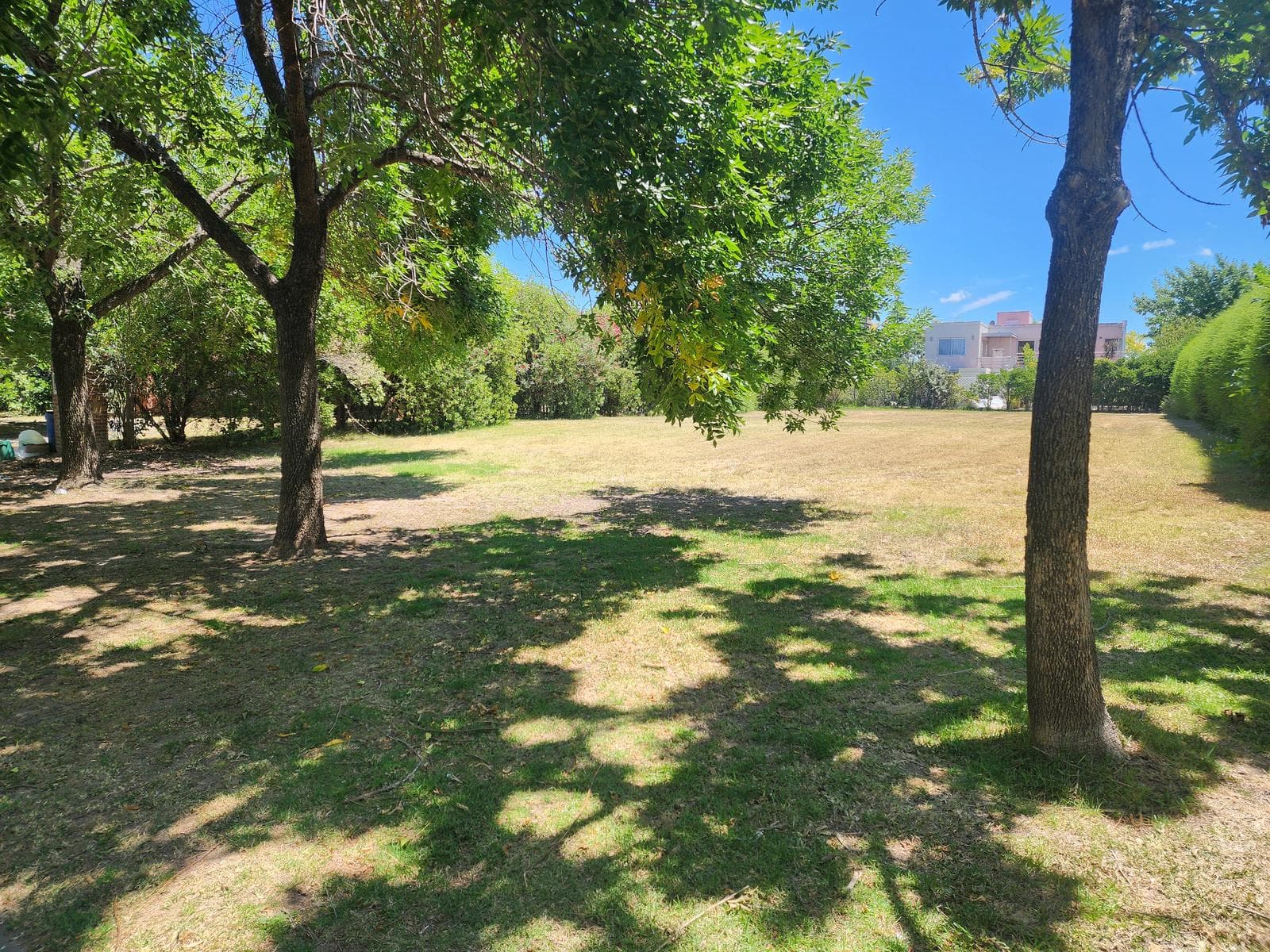 YA ESCRITURADO. ORIENTACION NORTE. LOTE INTERNO. - 1