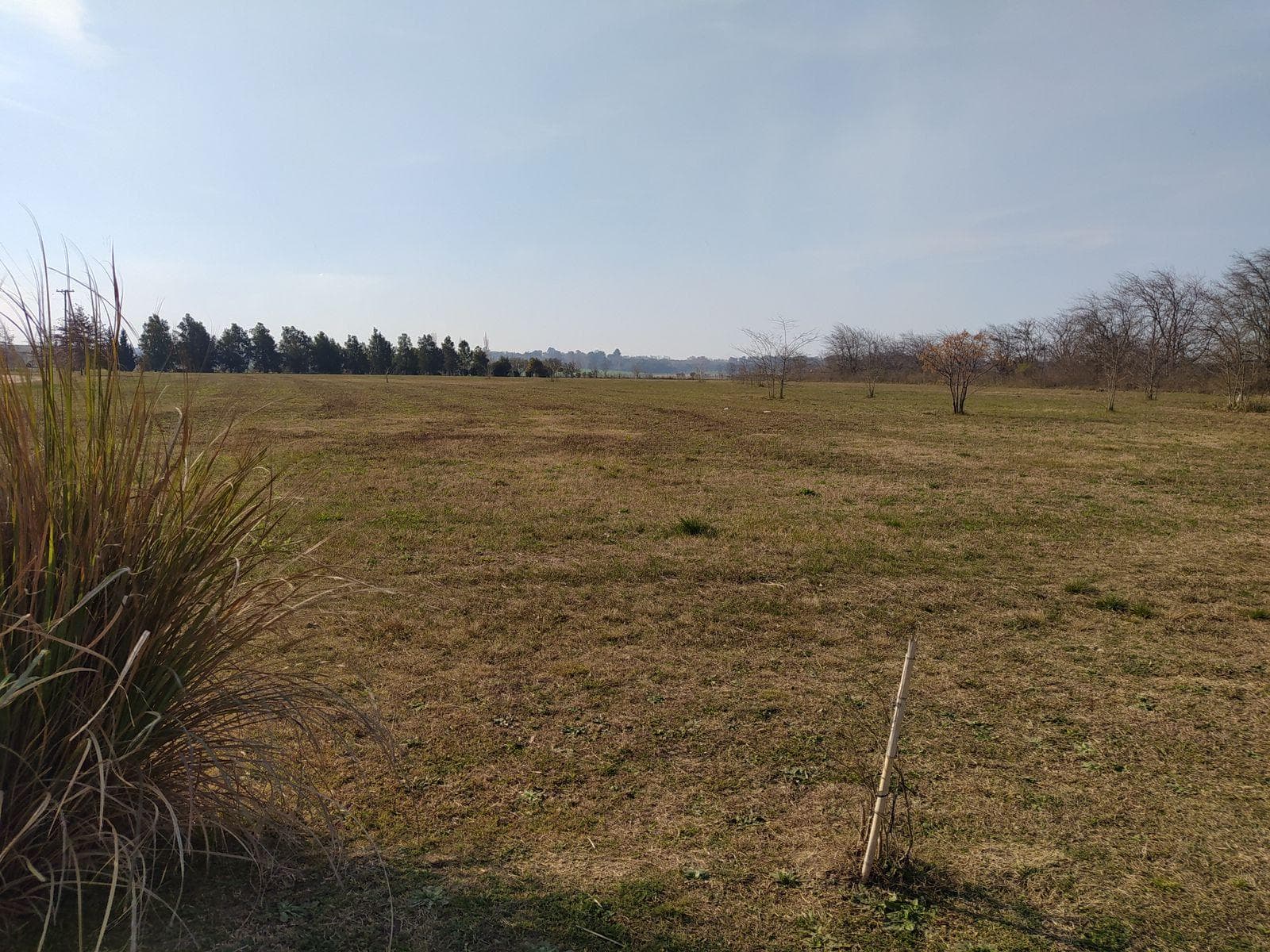 Terreno en venta en Chacras de Olivia, Lima - 1