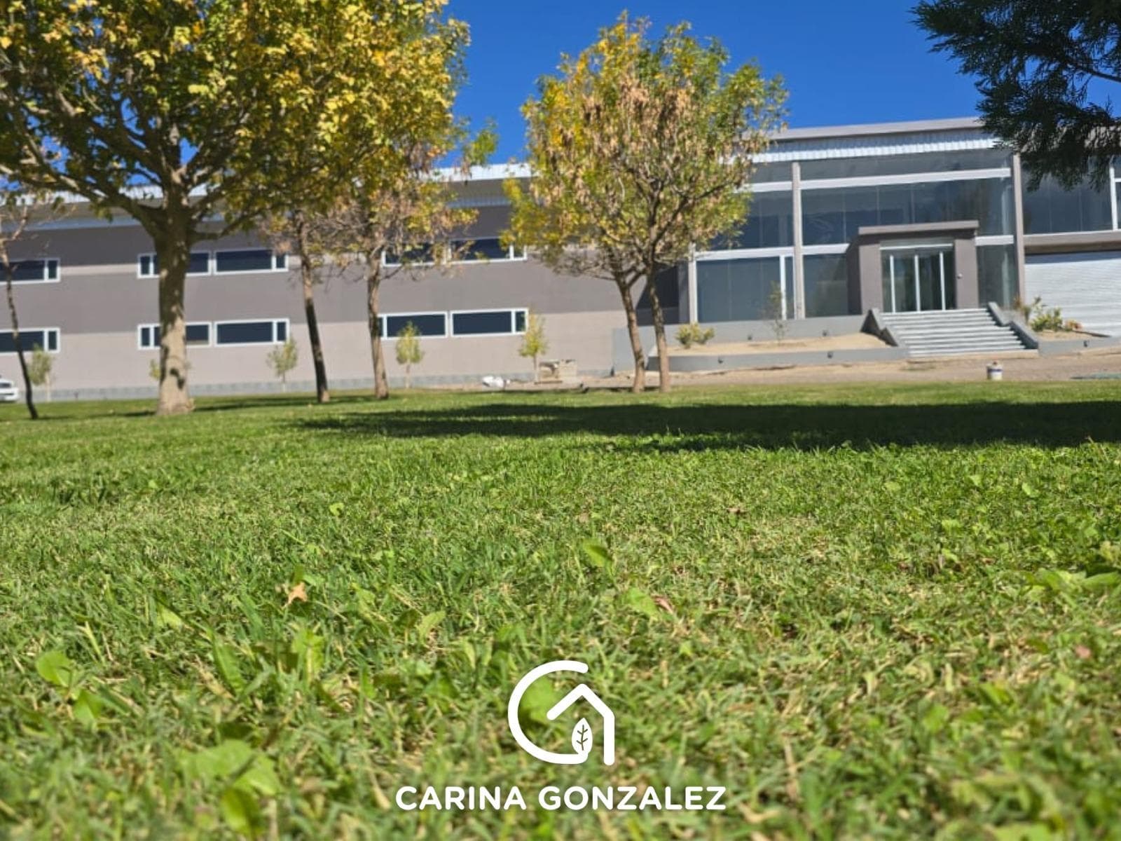 Edificio Comercial en Centenario base operativa - 1