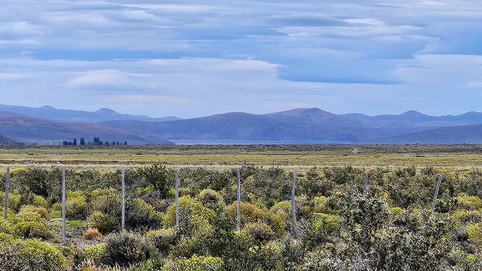 Excelente campo productivo - Gobernador Costa - Chubut - 1
