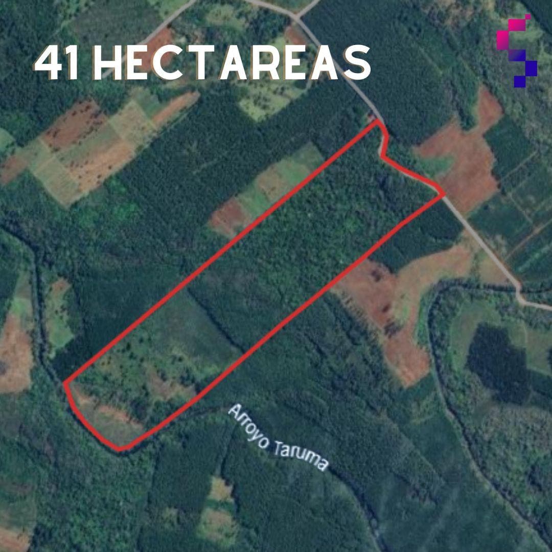 Chacra de 41Ha en Venta - 1