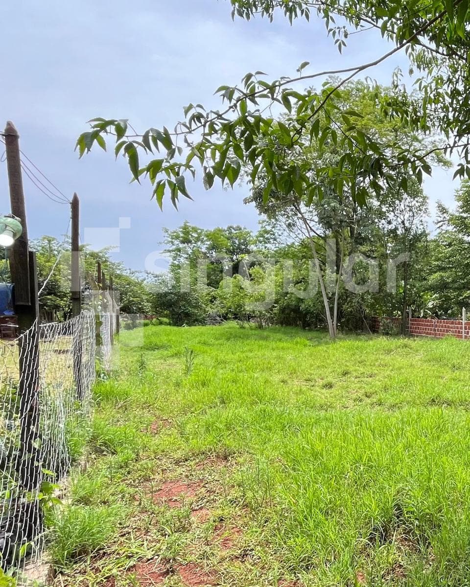 Terreno en Venta - 1