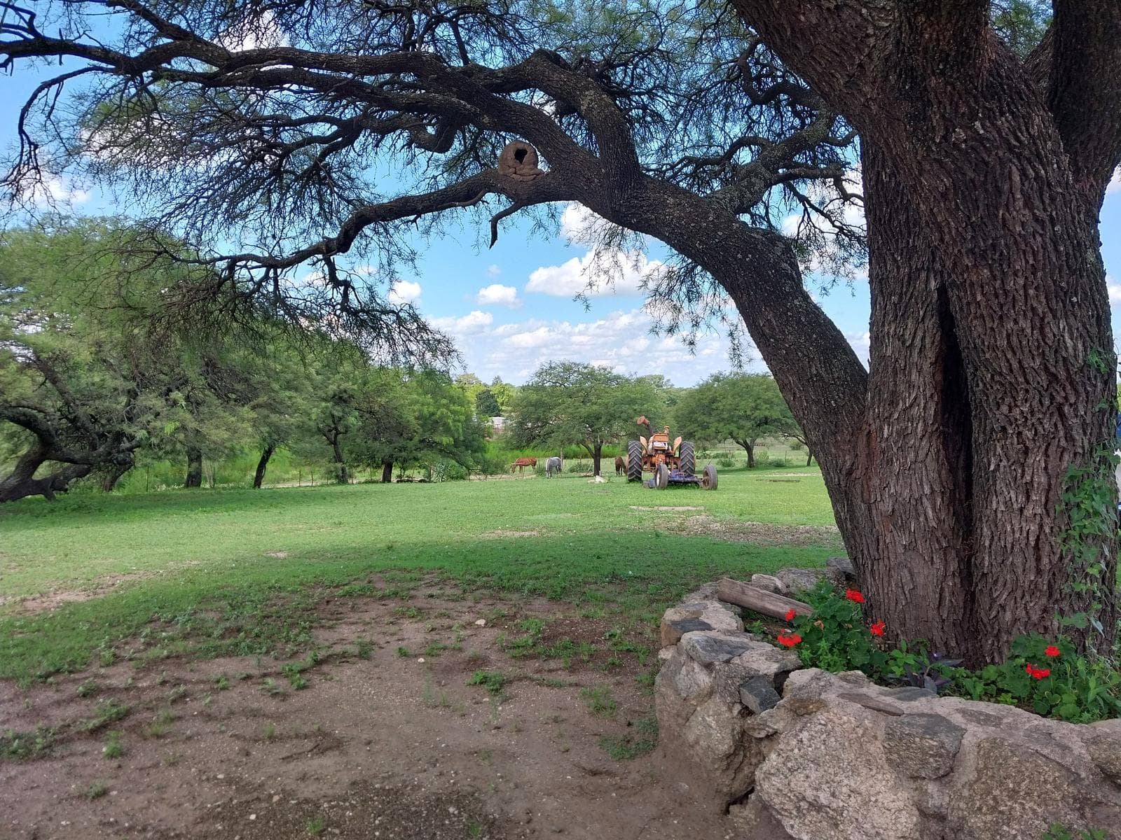 Terreno¡INVERSIÓN SEGURA! 21 HECTÁREAS EN FALDA DEL CARMEN – DESARROLLO INMOBILIARIO en - 1