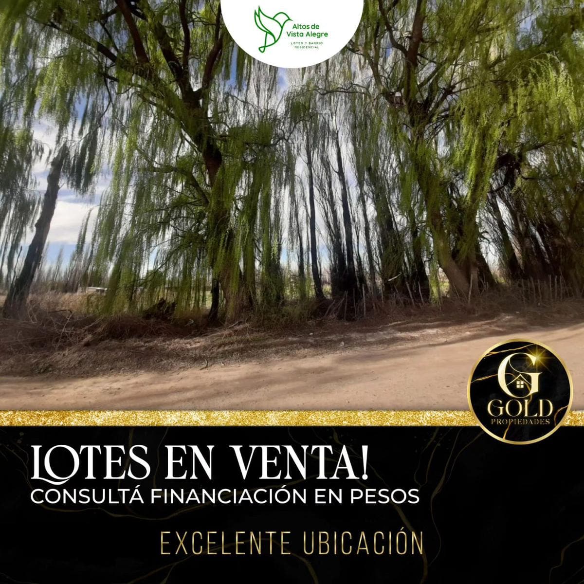 Terreno en Vista Alegre Sur - 1