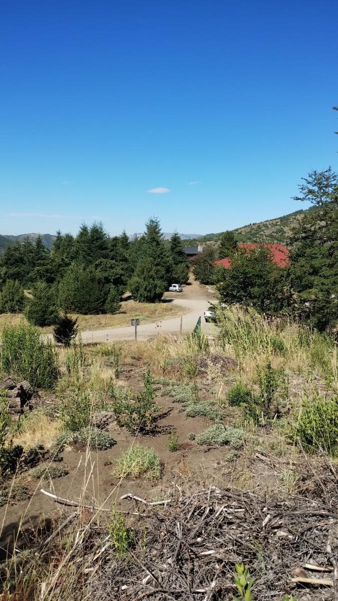 Terreno en Los Ñires - 1