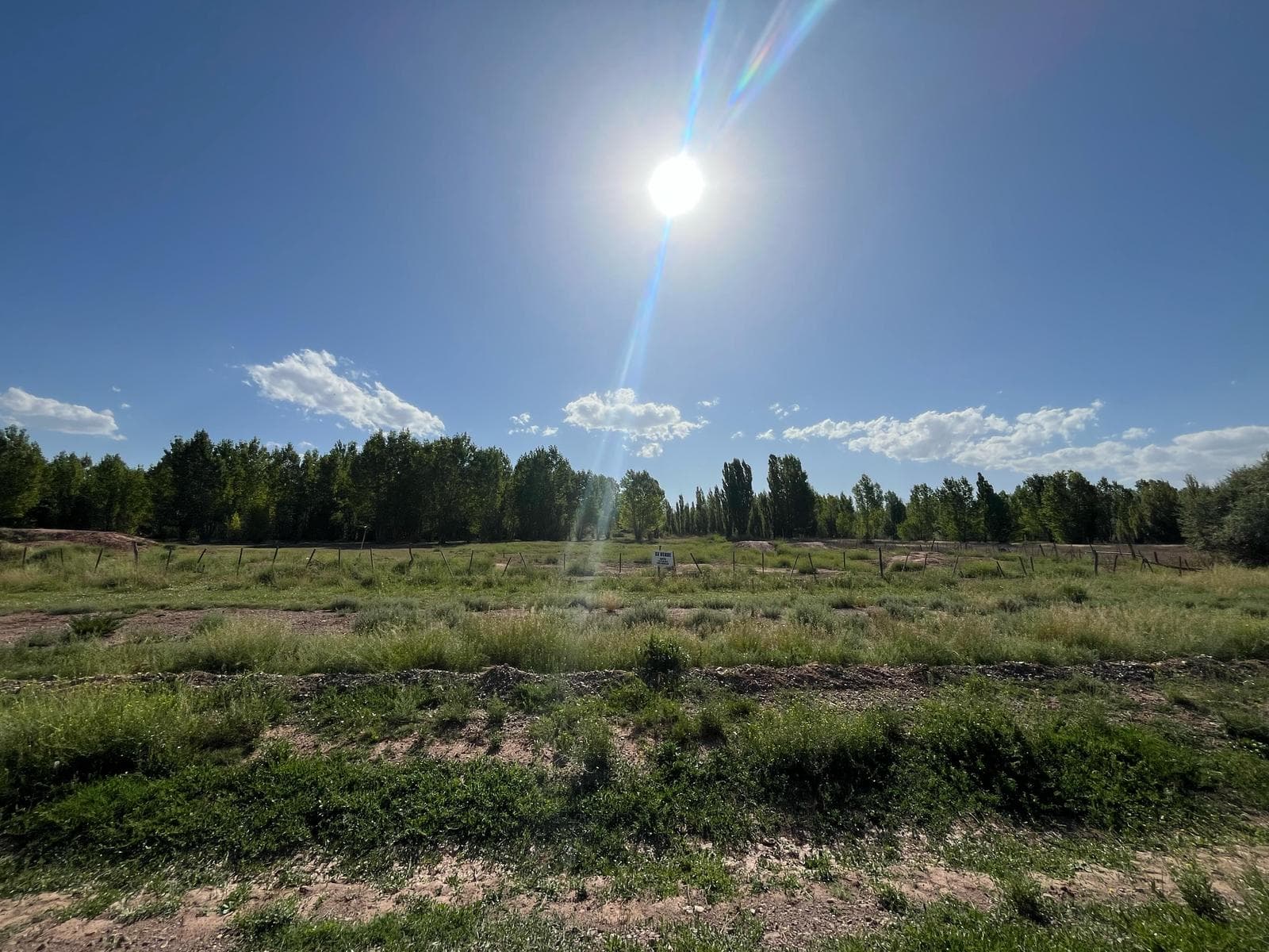 Hectáreas sobre Ruta 40 - 1