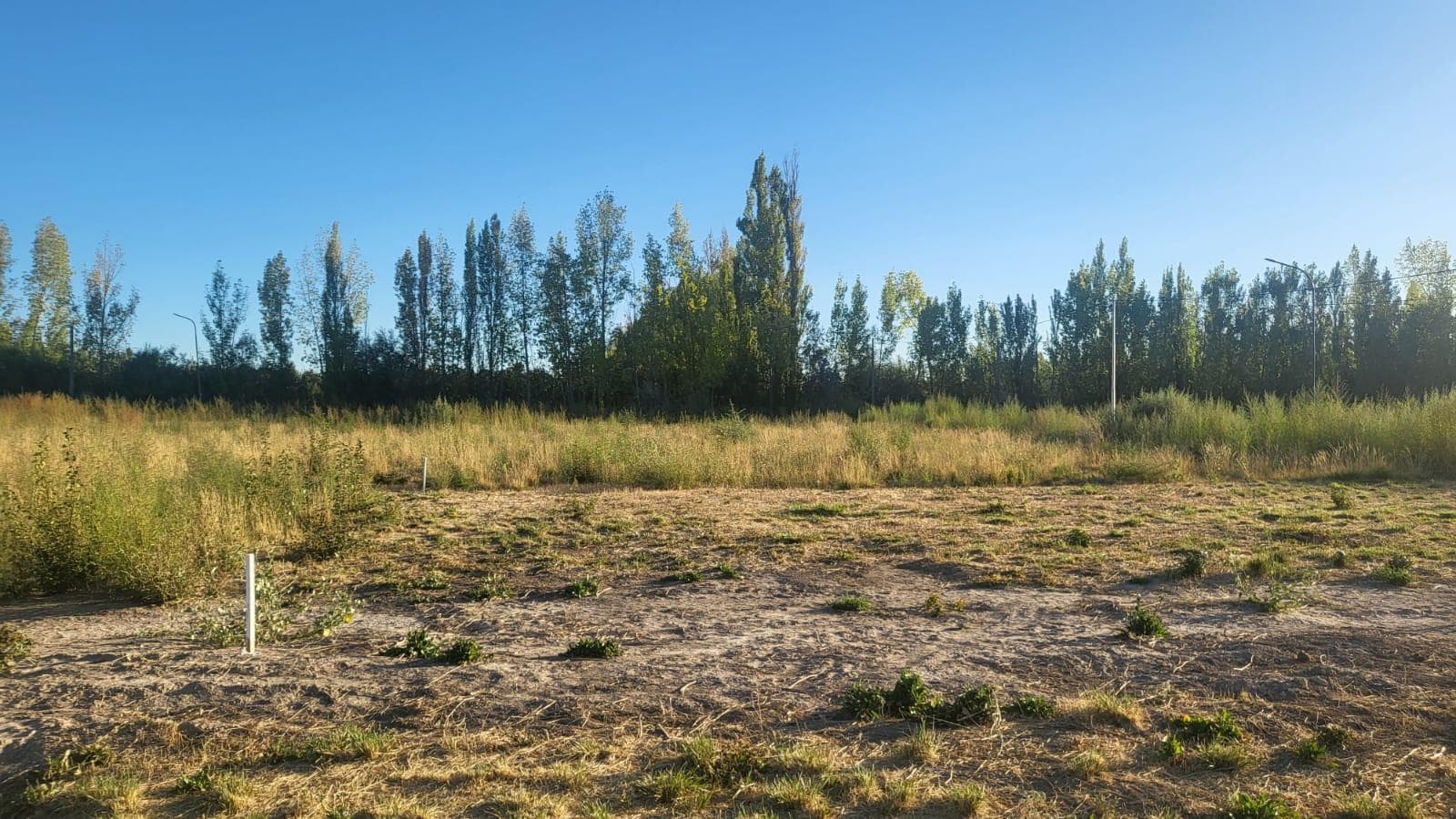 Venta de terrenos en Allen - 1