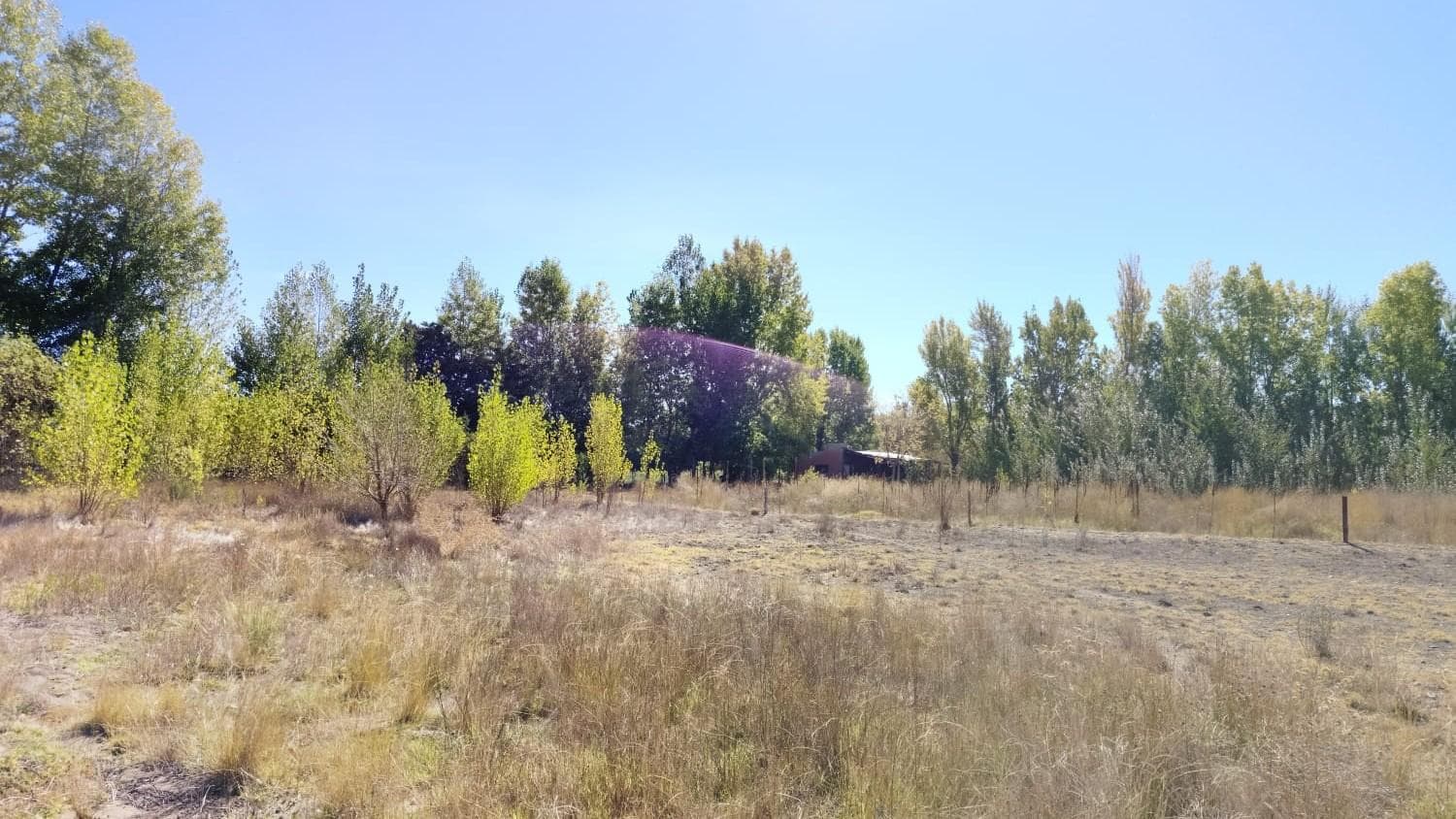 Chacra en VENTA China Muerta Plottier - 1