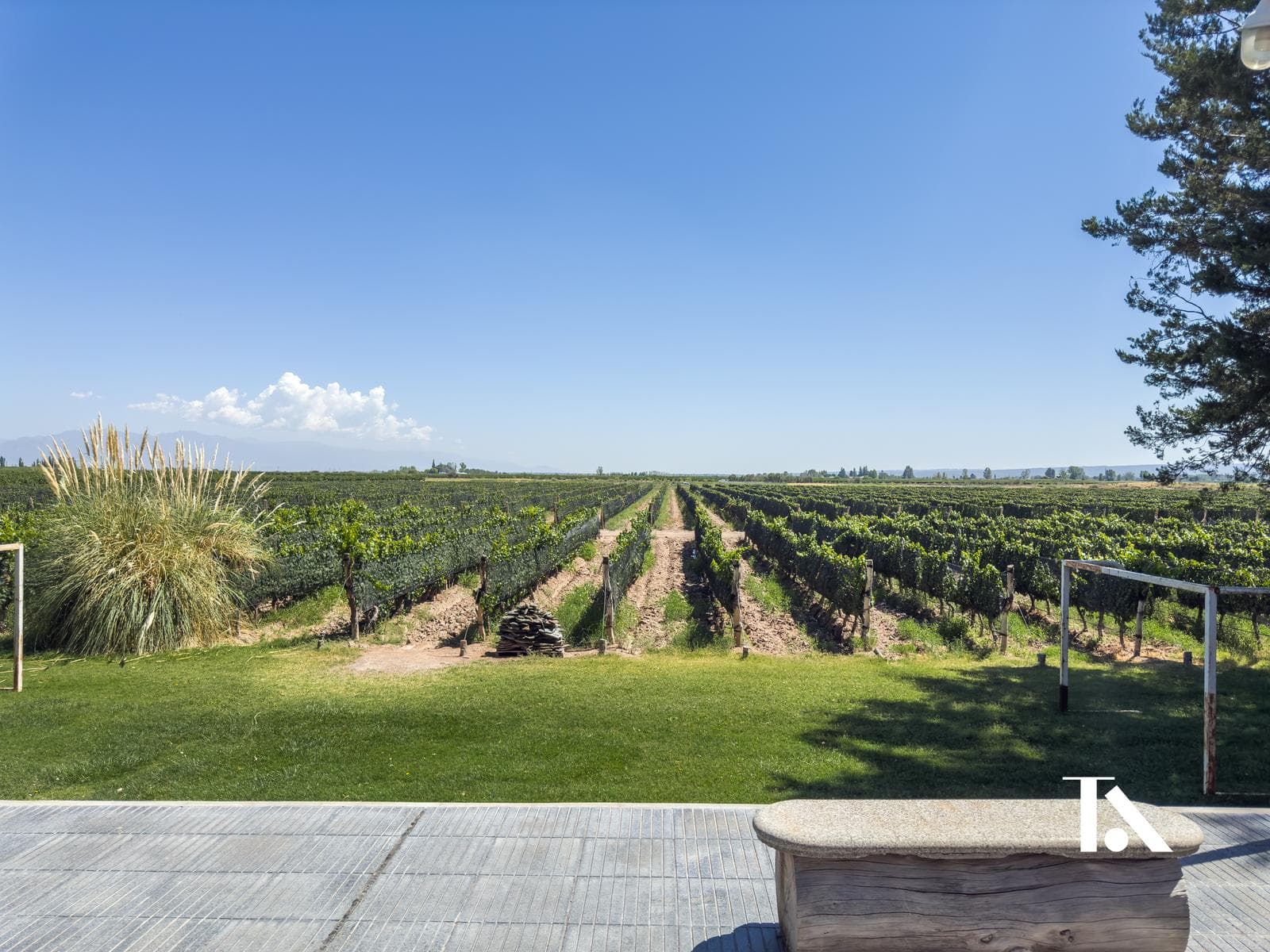 FINCA PRODUCTIVA EN UGARTECHE Y CASA DE HUESPEDES - 1