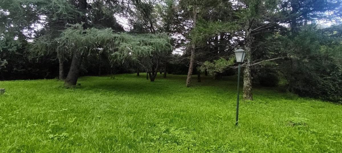 Campo en Agua de Oro, Córdoba. - 1