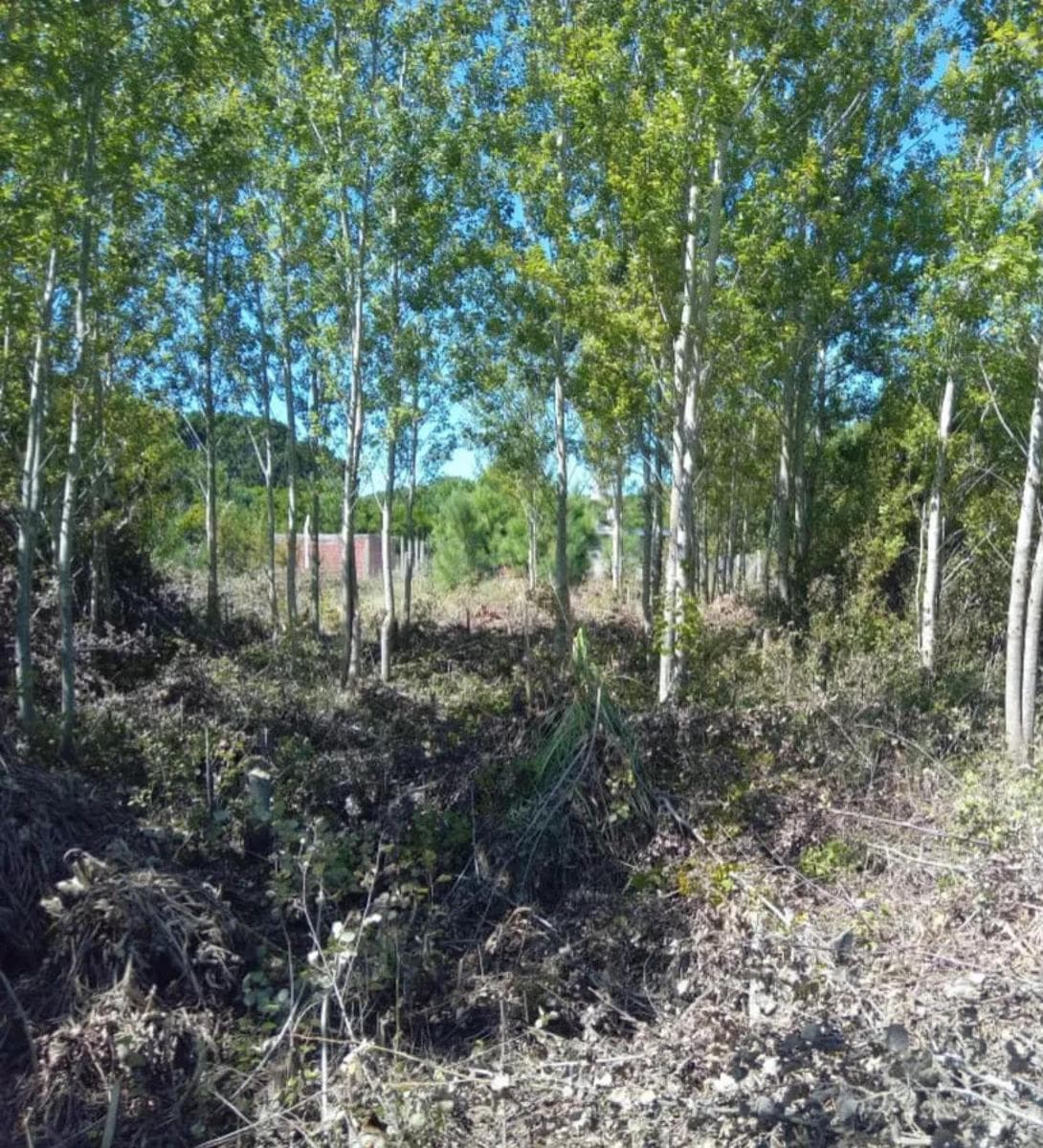 Terreno en Venta - 500mts2 - Nueva Atlantis - 1