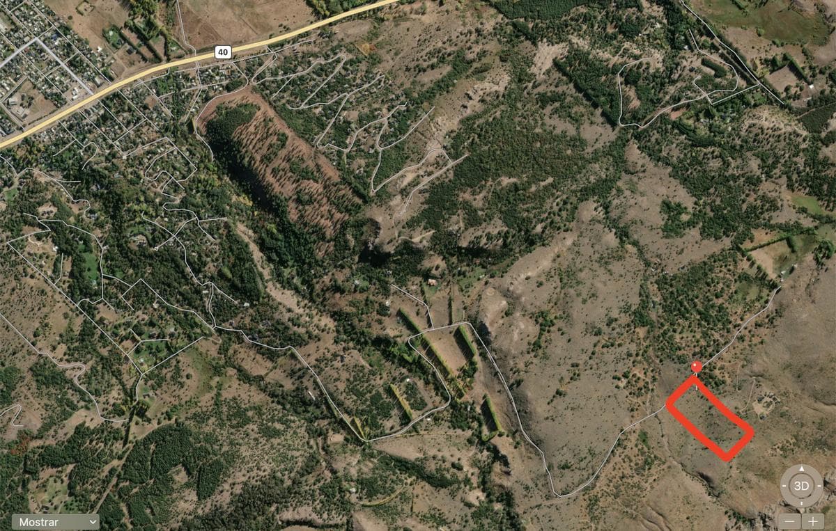 Campo - San Martin De Los Andes - 1