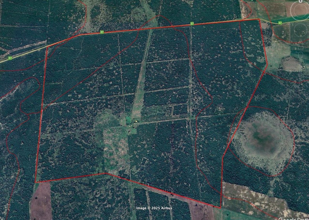 Campo de 811 hectareas en La Gallareta - 1