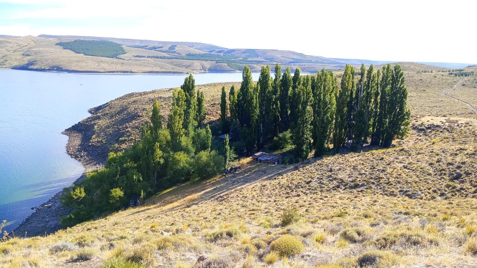 Estancia Paso Chacabuco- Rio Negro - 1