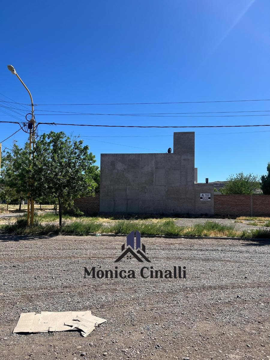 Terreno en Villa Regina - 1