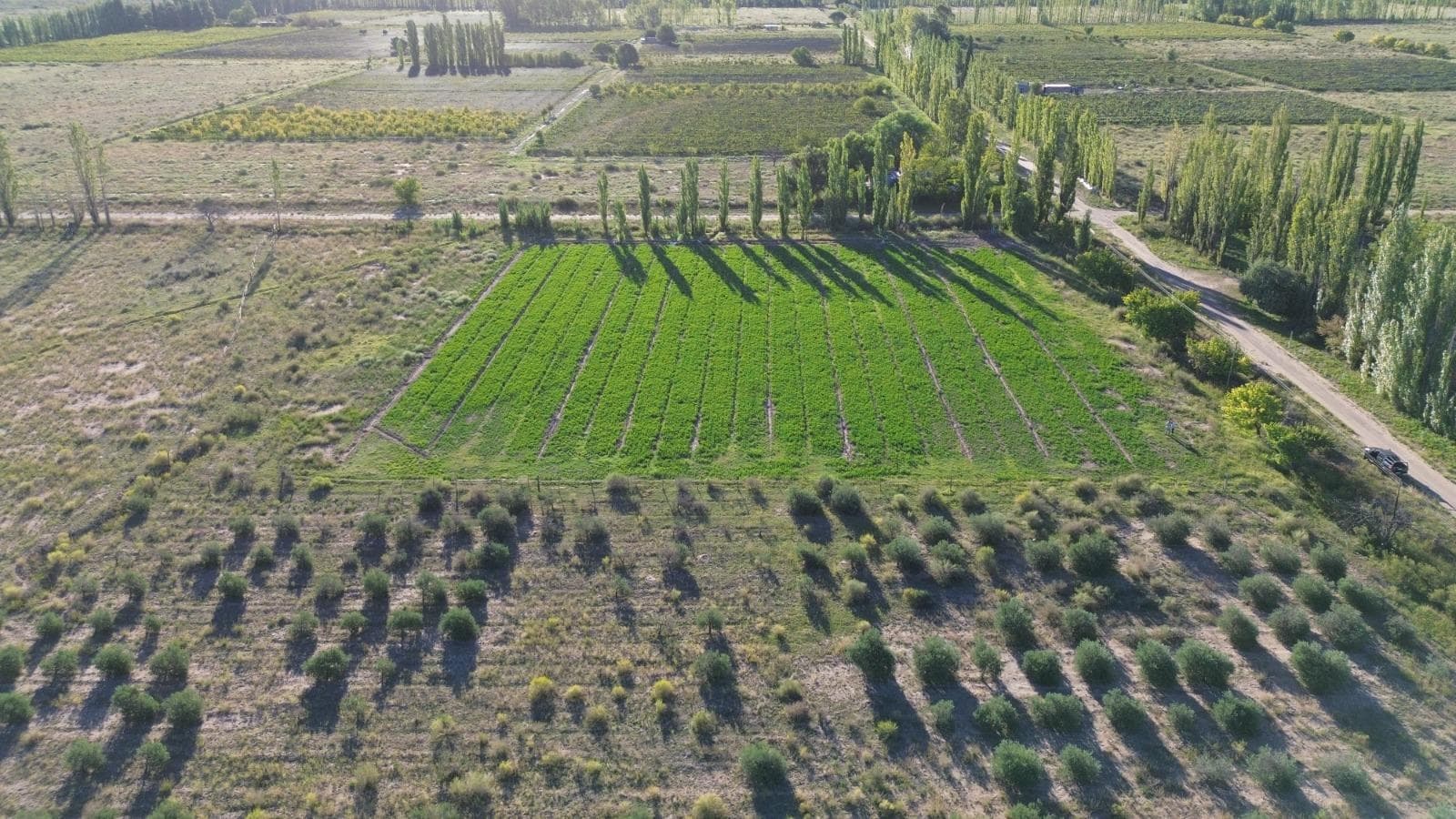 Finca en Oportunidad!!! finca en venta - 1