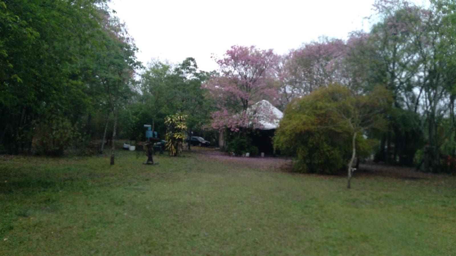 Campo en venta - 20.000Mts2 - Corrientes - 1