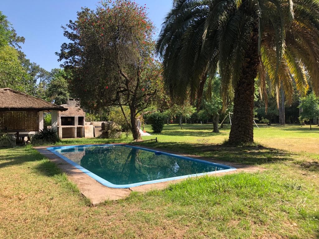 Quinta - Guernica - 1