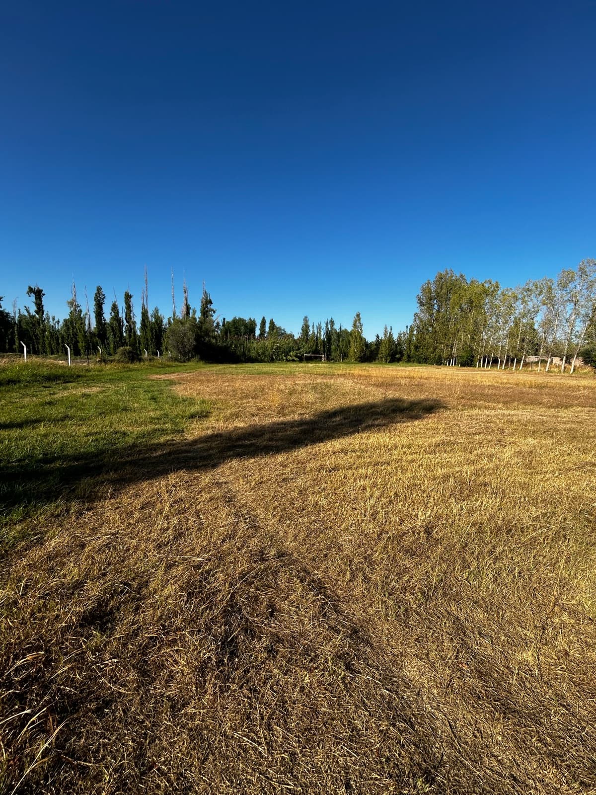 Terreno en Carril Rodriguez Peña (Zona Industrial) - 1