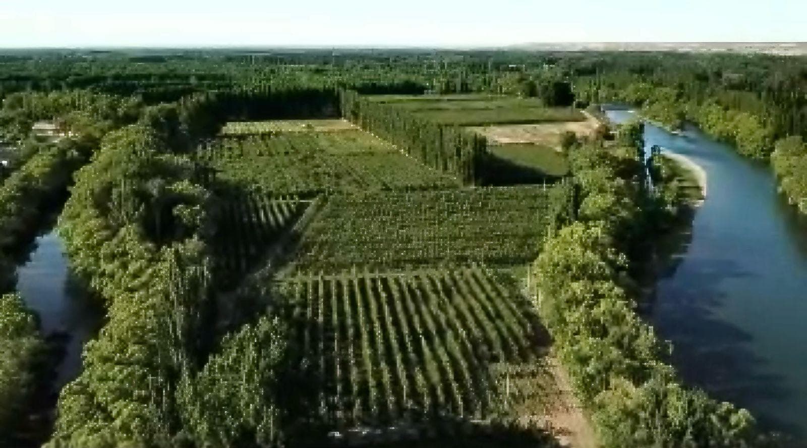 En Venta Chacra de 65 Has, Isla Adelina, Centenario Neuquén. - 1