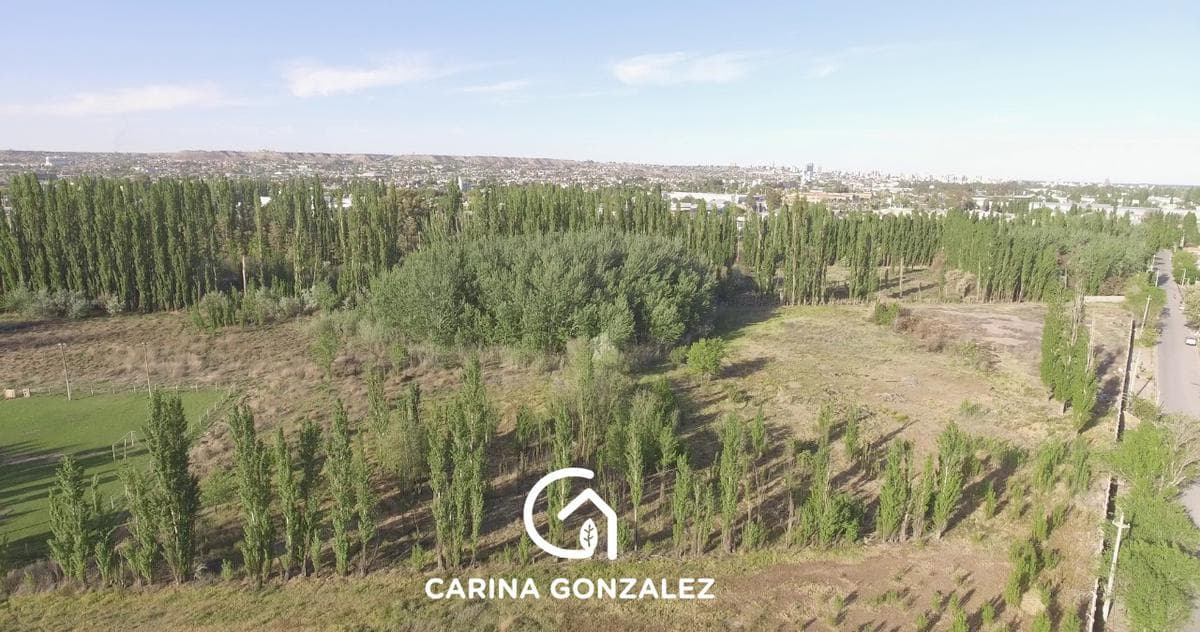 CHACRA EN VENTA 5,7 HECTAREAS NEUQUEN CAPITAL - 2