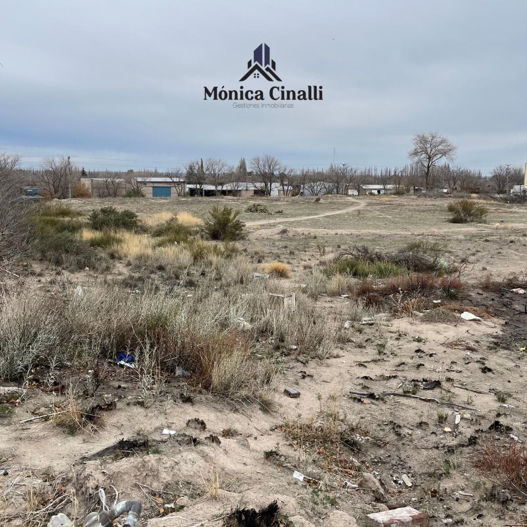 Terreno en Villa Regina - 1