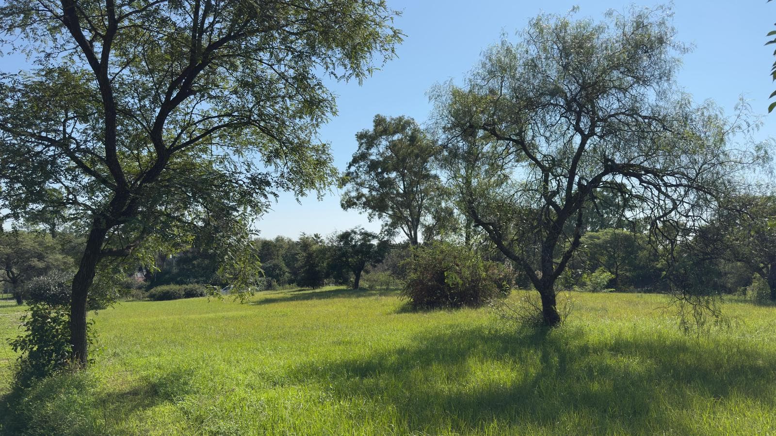 Gran terreno, sobre ruta E96, Falda del Carmen, todos los servicios - 1