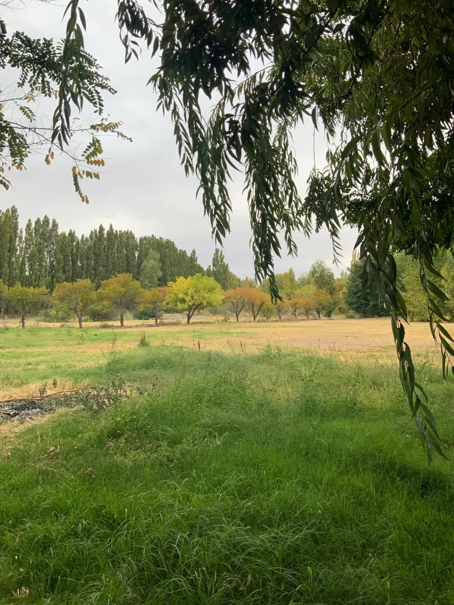 Vende Chacra 4 Hectareas en Senillosa - 1