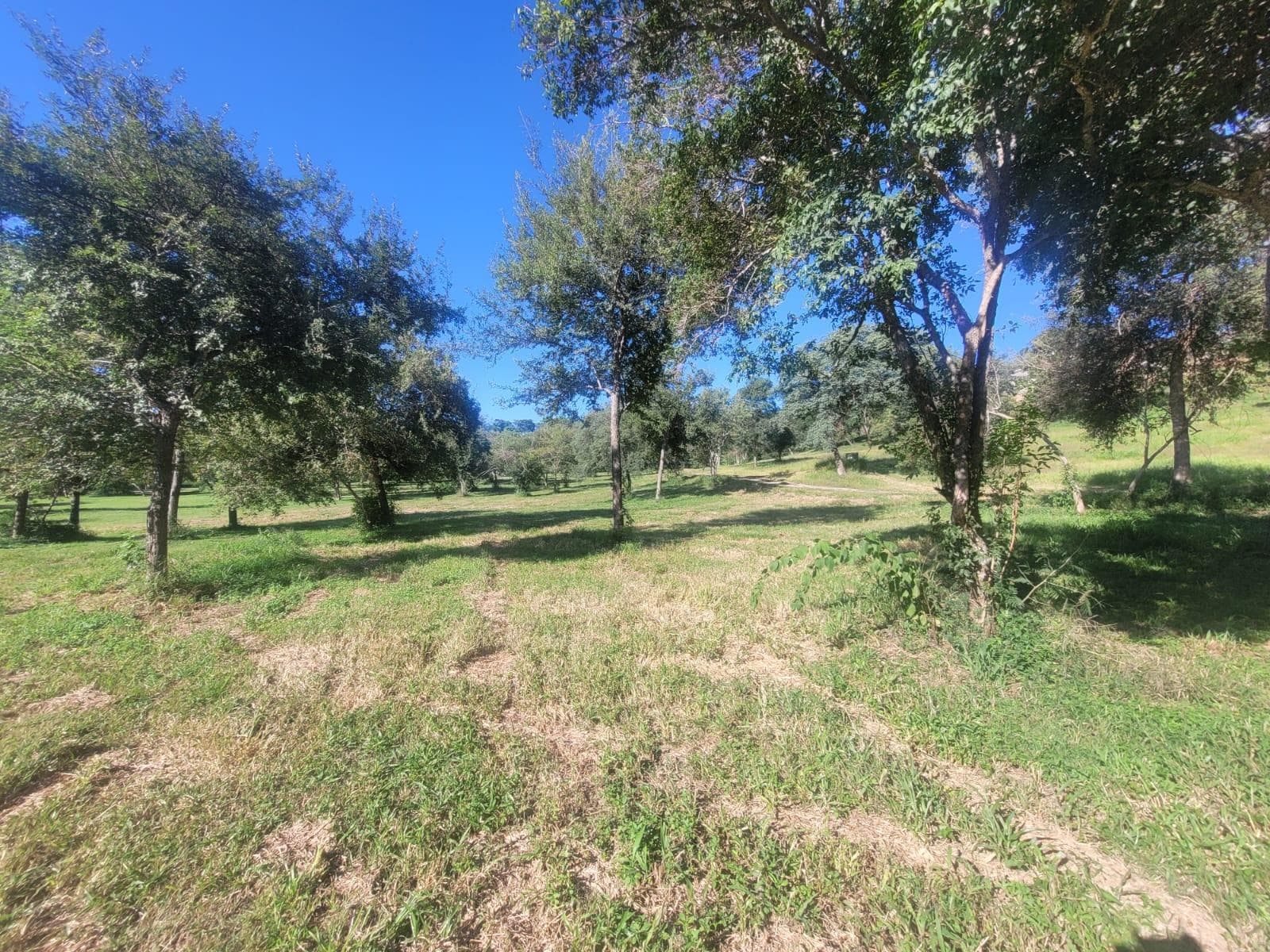 Terreno en venta en Las Cañadas 1250m2 - 1