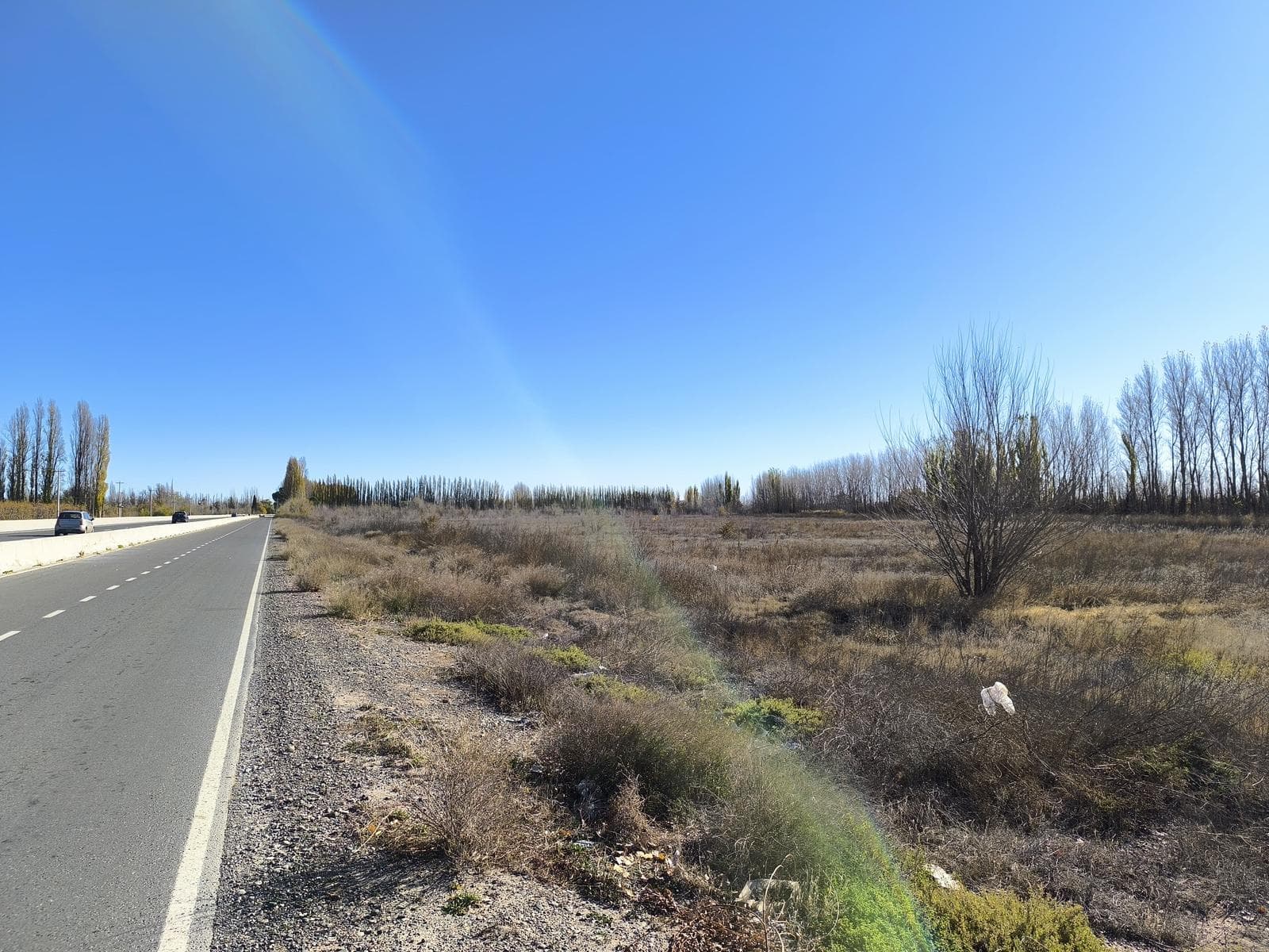 VENTA DE HECTAREAS INDUSTRIALES, COMERCIALES O PARA PRODUCCION SOBRE RUTA 22 - RIO NEGRO - 1