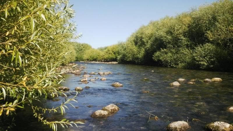 VENTA 2 HECTAREAS S/ RÍO QUILQUIHUE SAN MARTIN DE LOS ANDES - 1