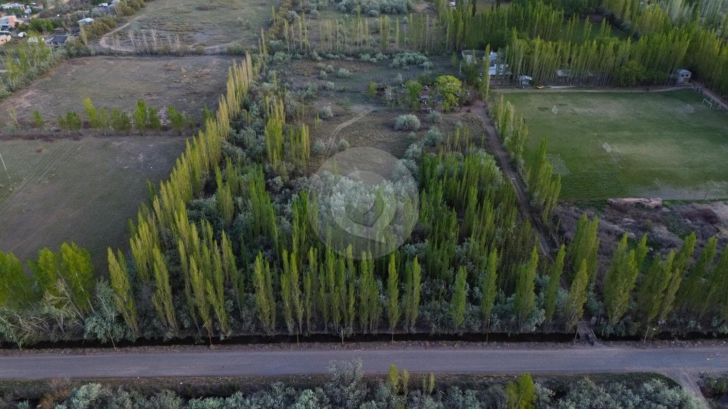 Chacra 3 Héctareas en Cipolletti (APTO DESARROLLO LOTEO SOCIAL) con casa y departamentos - 1